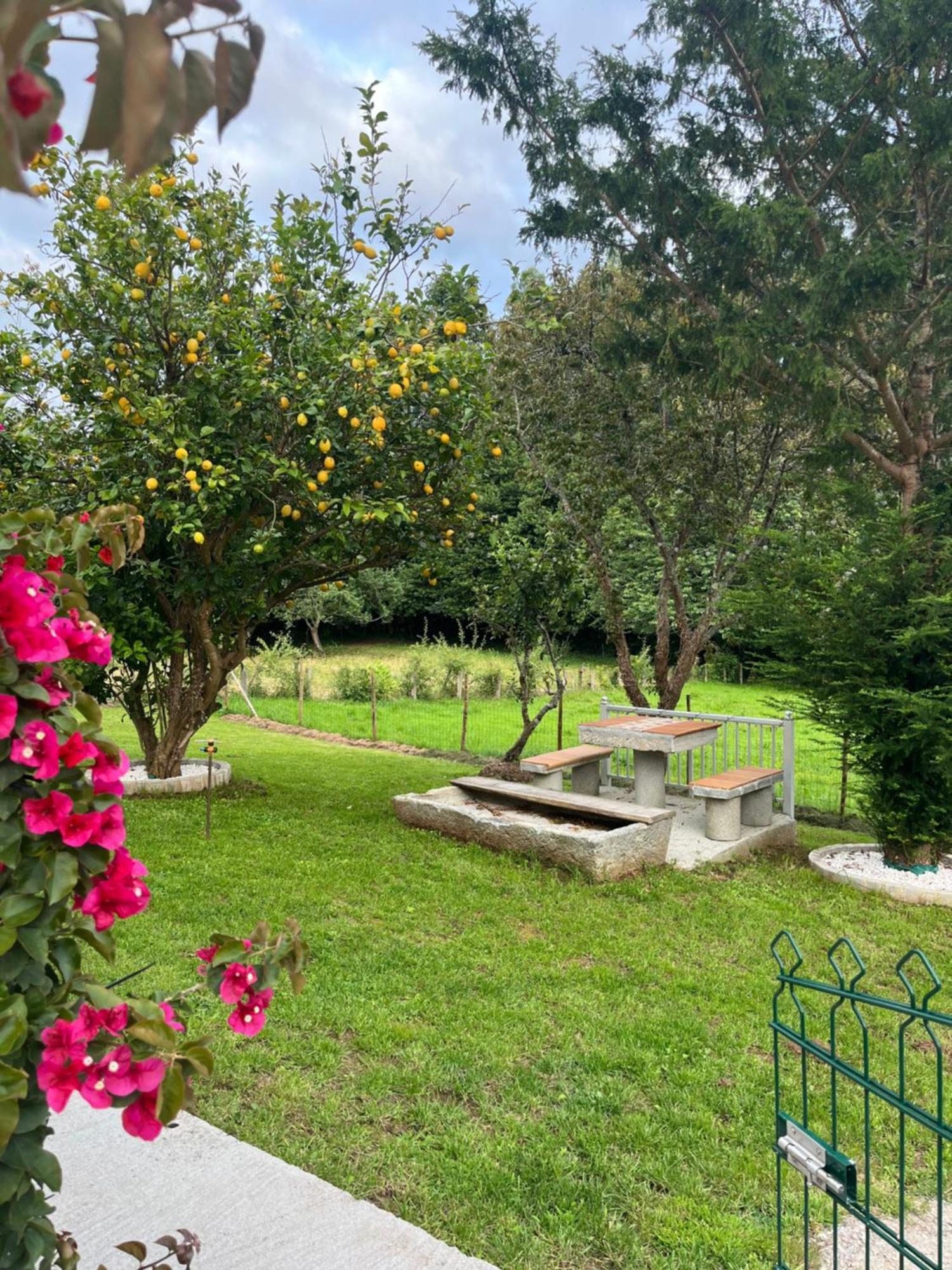 Casa Marina Villa Cerdido Bagian luar foto